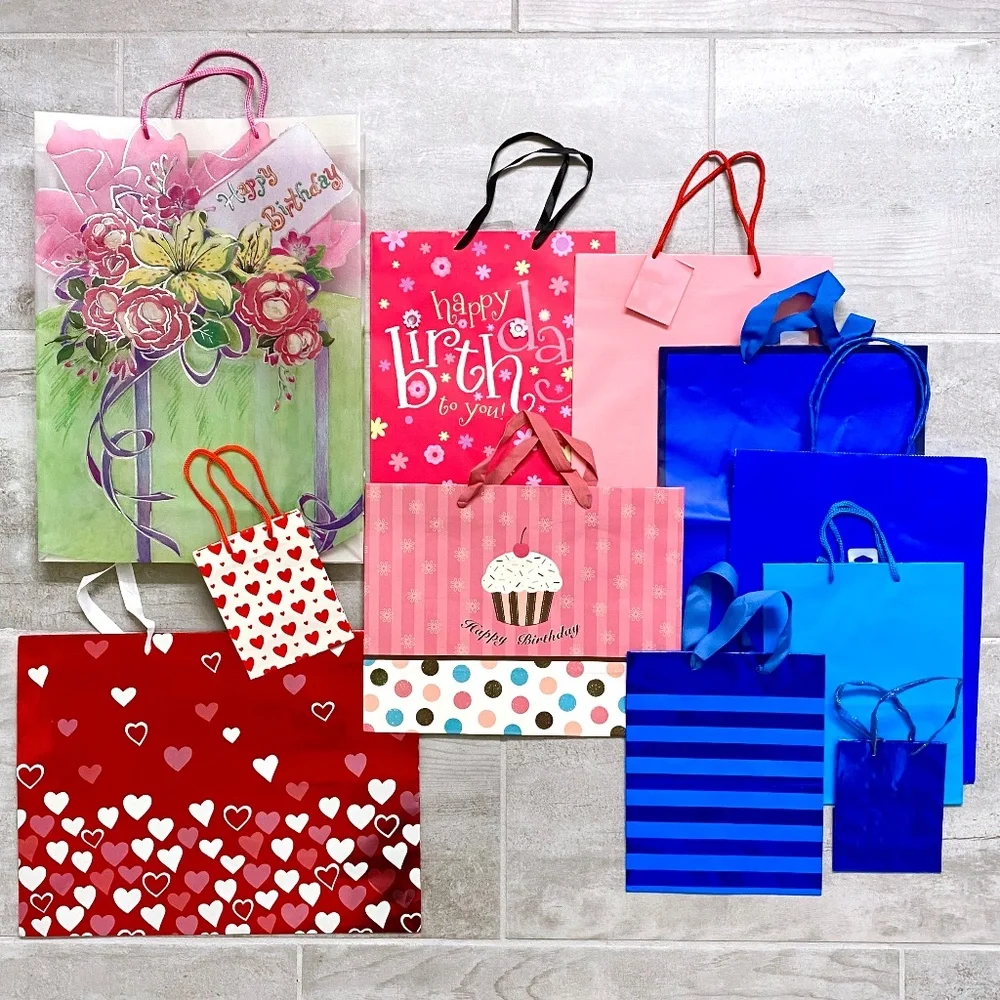 11 Birthday /Gift Bags